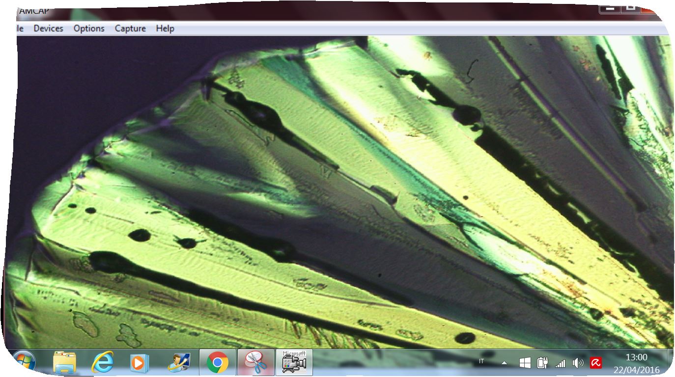 Microcristalli di zucchero